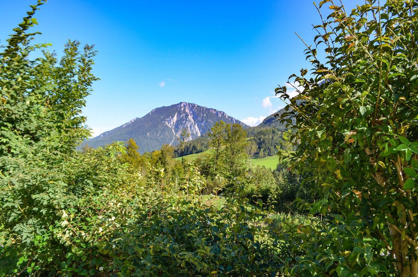 Almbauernhof Apartment Руполдинг Екстериор снимка